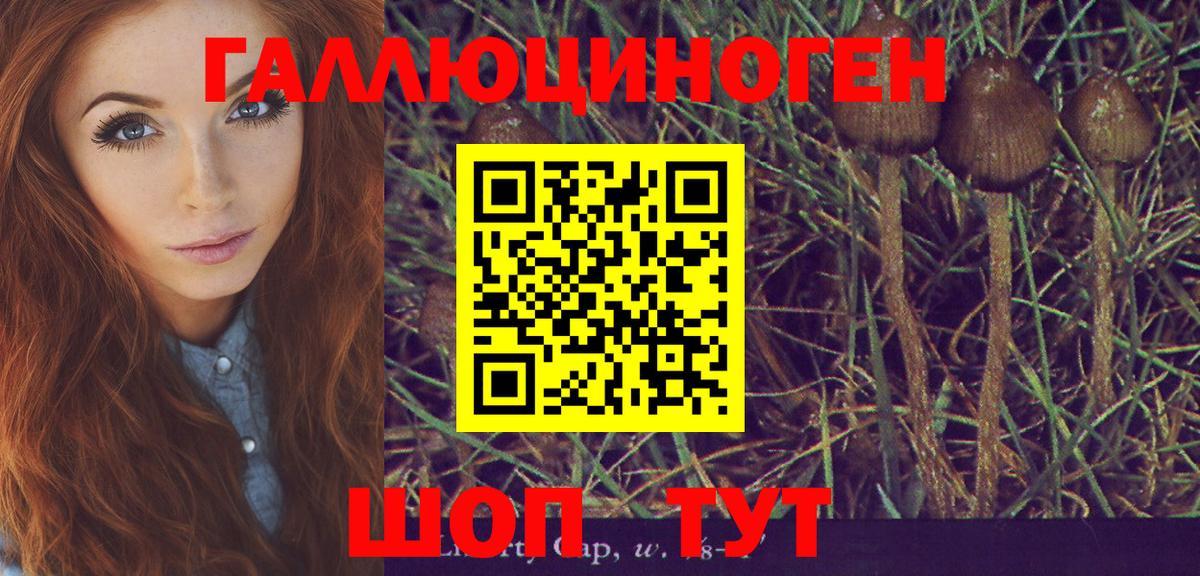 Мирный  Псилоцибиновые грибы GOLDEN TEACHER  хочу   Вход с VPN 